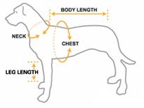sizechart.jpg